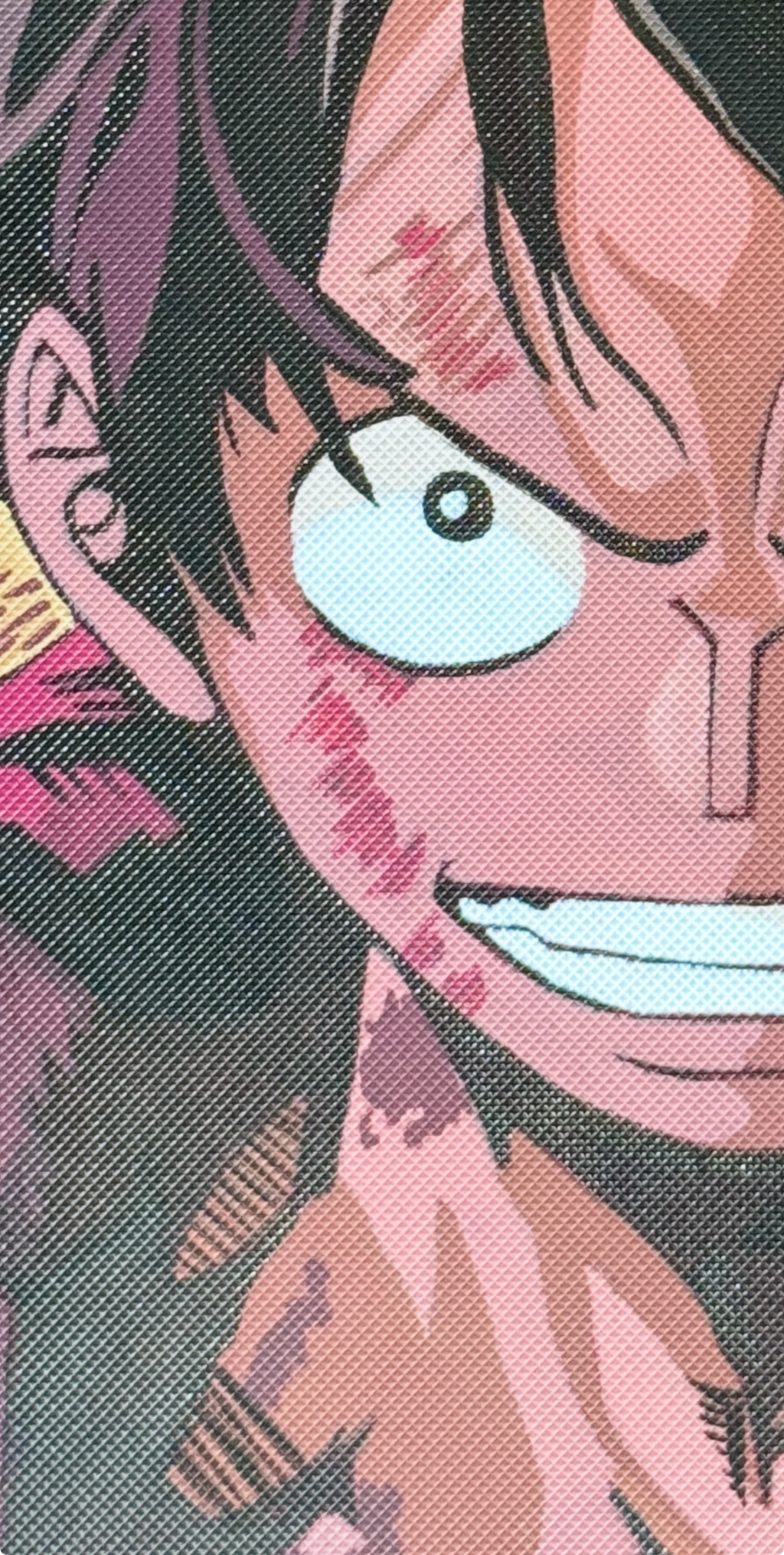 Binder Luffy - One Piece